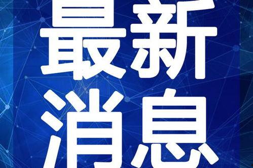 最新偷鱼爆料新闻视频下载,视频揭露惊人内幕，揭秘黑幕背后真相